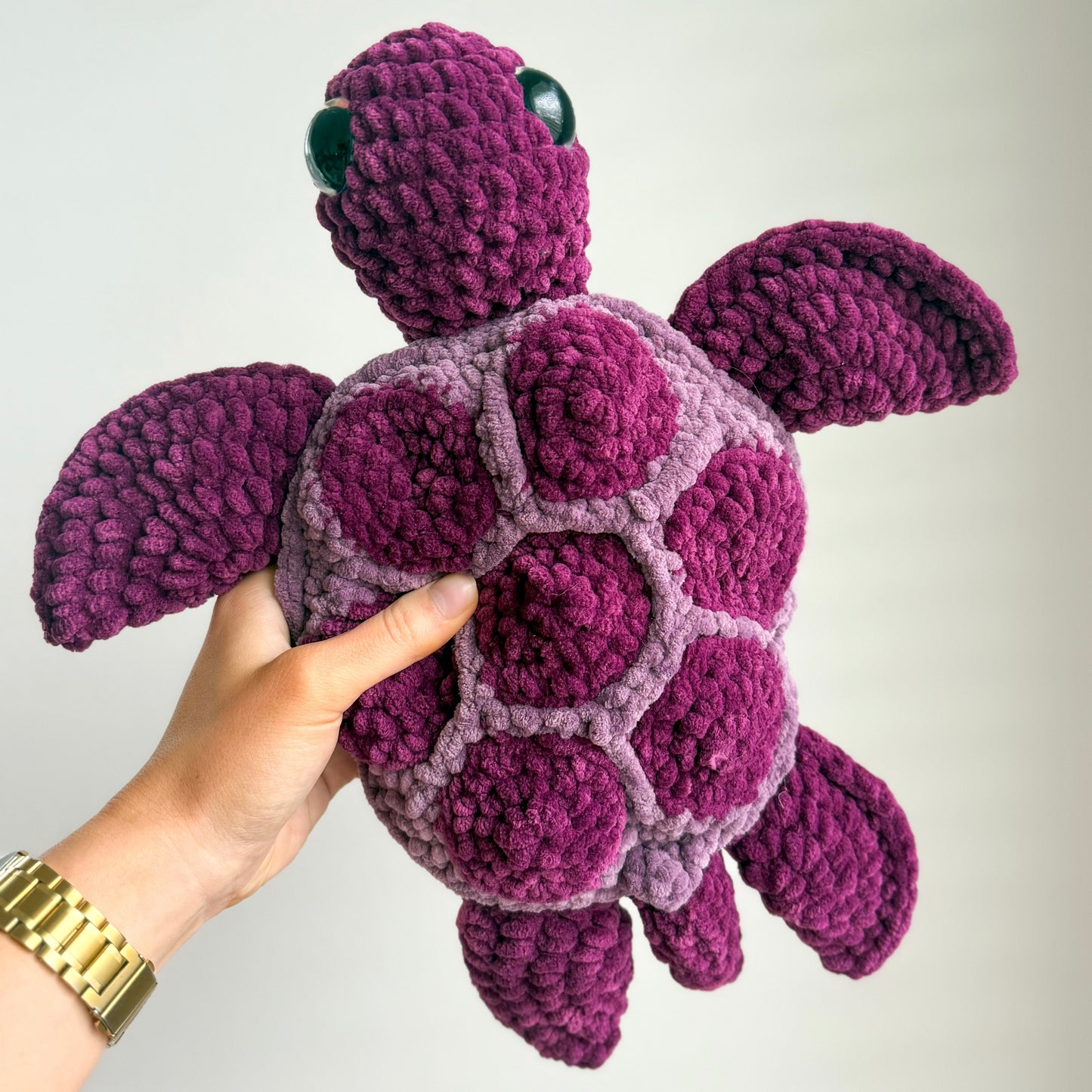 Talia the Turtle