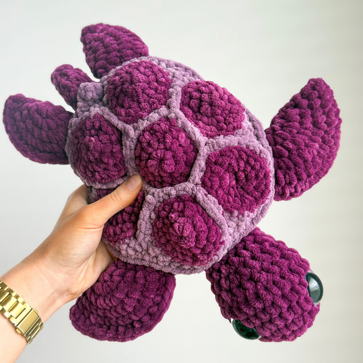 Talia the Turtle